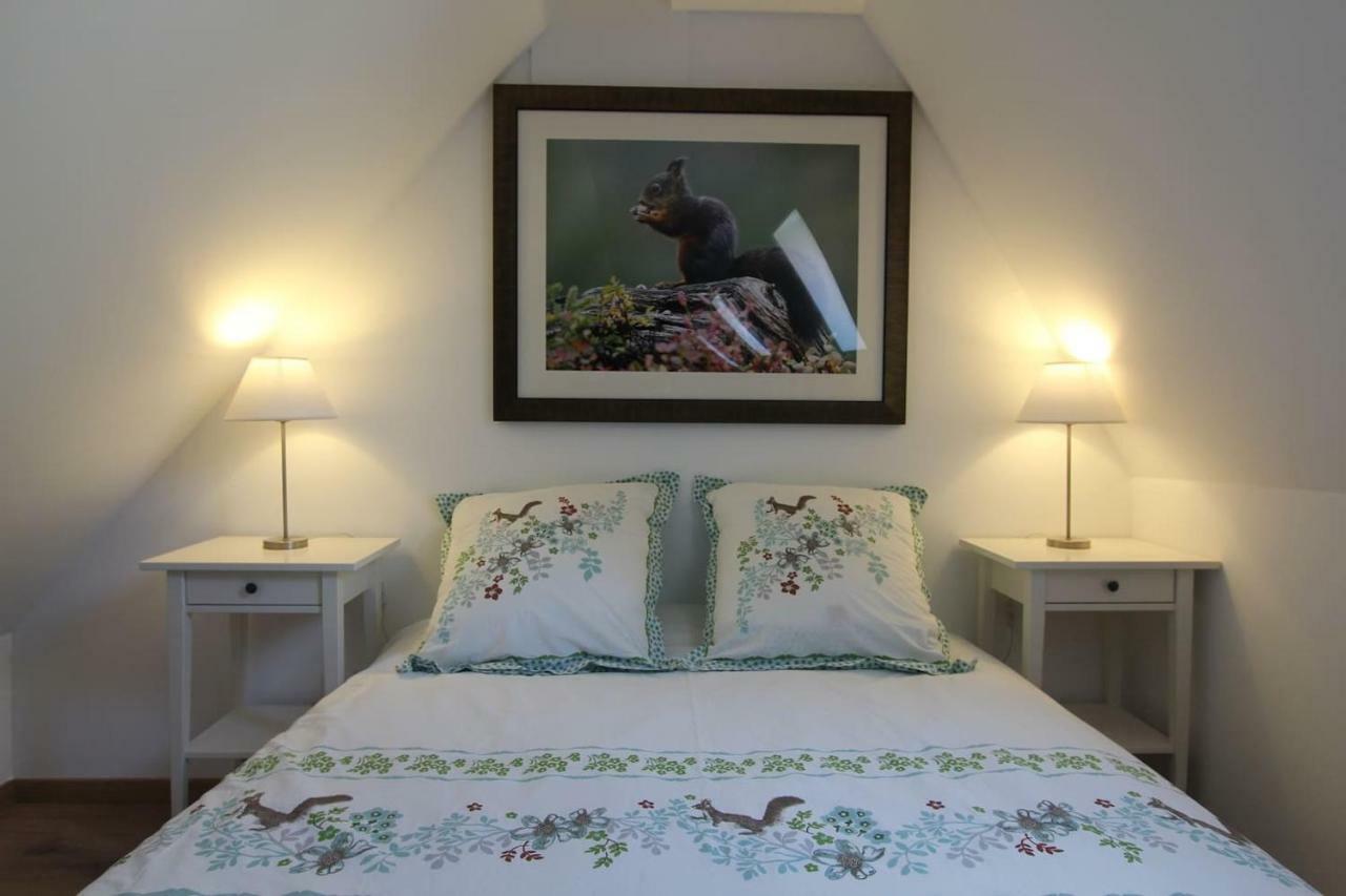 Chambre Chez L'Habitant - L Ecureuil - Coeur De Riquewihr - 2 Personnes Exteriör bild